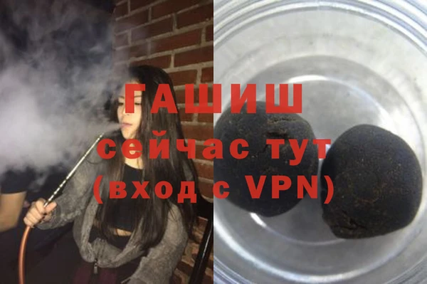 индика Дмитриев