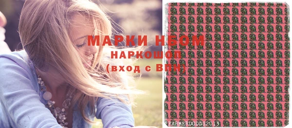 индика Дмитриев