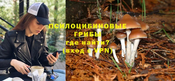 гашиш Дмитров