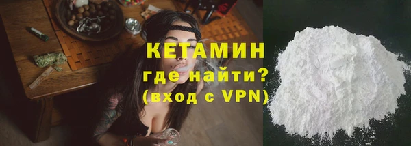 индика Дмитриев