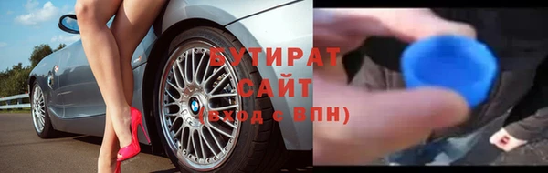 индика Дмитриев