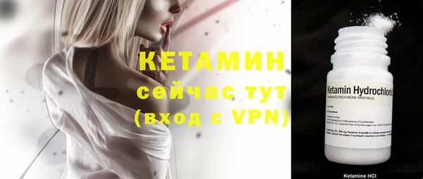 индика Дмитриев