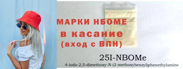 индика Дмитриев