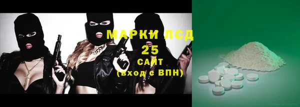 индика Дмитриев