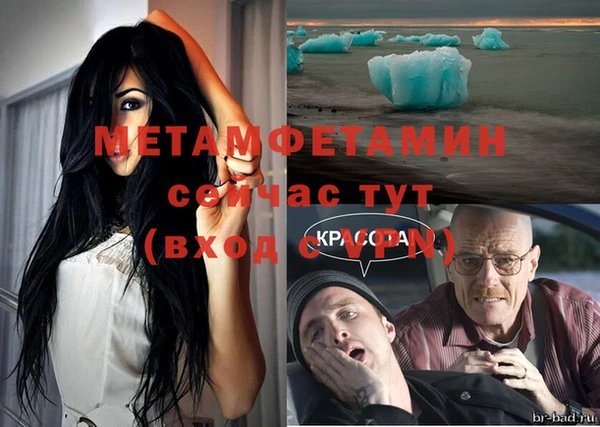 индика Дмитриев