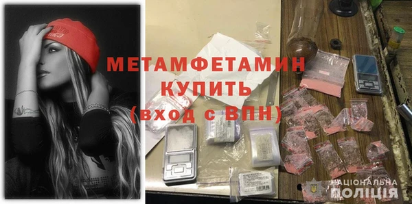 индика Дмитриев