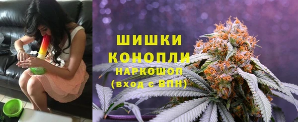 индика Дмитриев