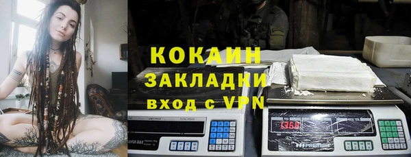 индика Дмитриев