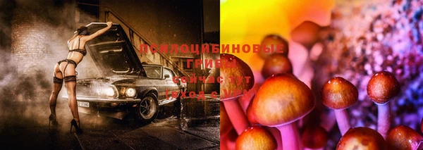 гашиш Дмитров