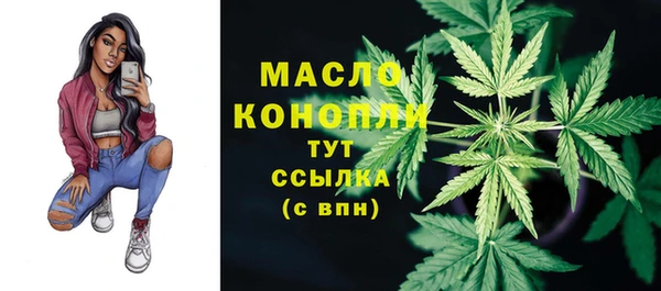индика Дмитриев