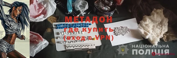 индика Дмитриев