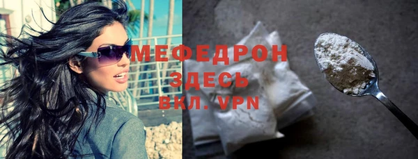 индика Дмитриев